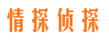 峨山侦探公司